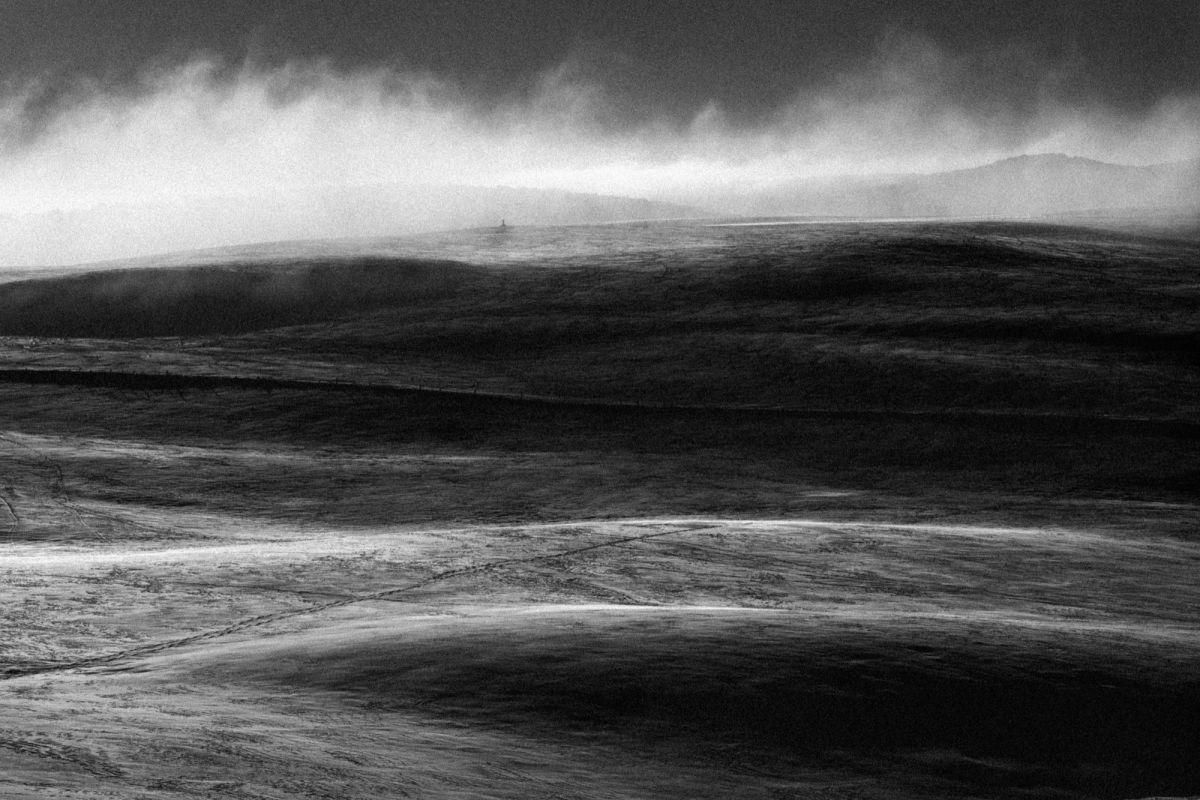 Fred Mortagne