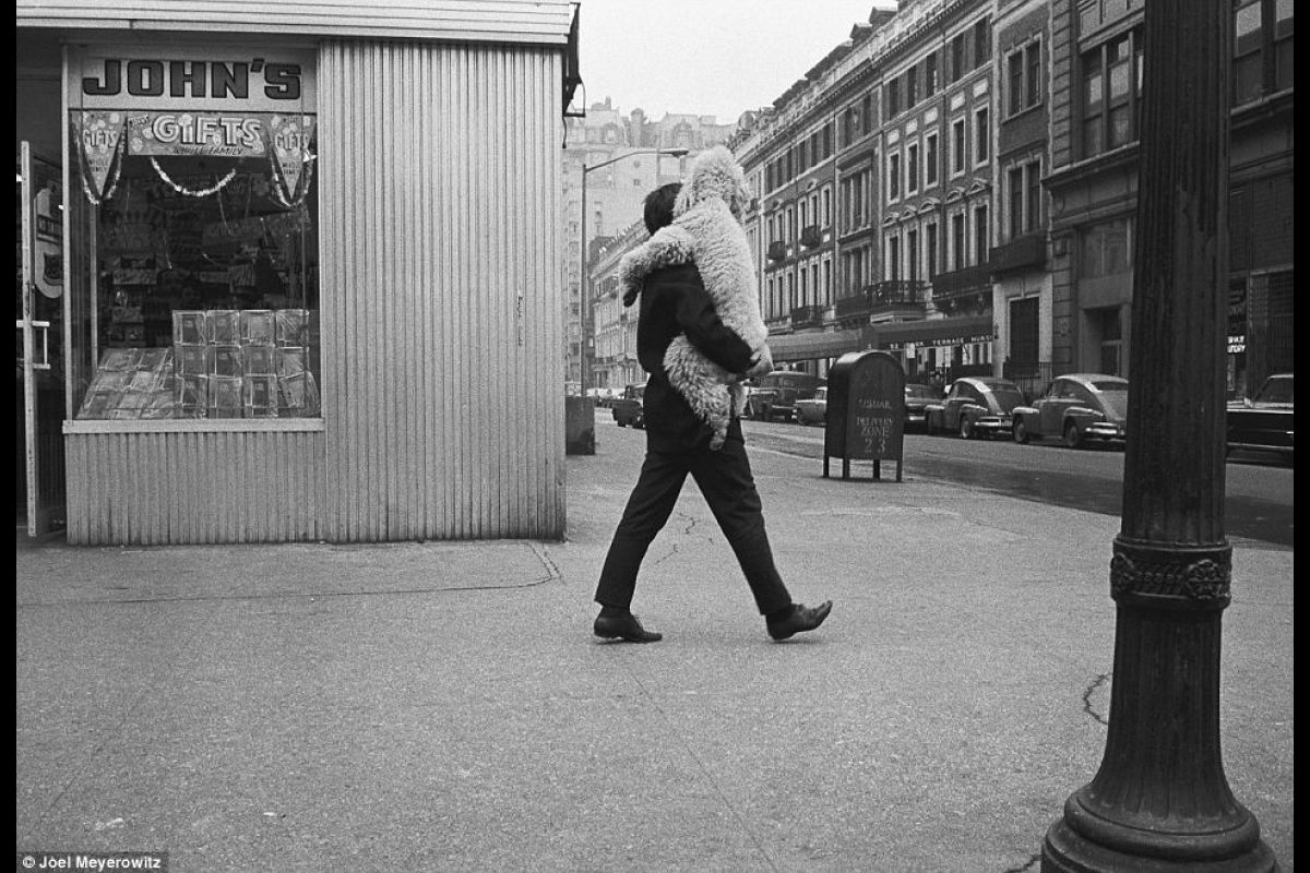 New York, 1965 : Un ami fatigué se fait porter 
