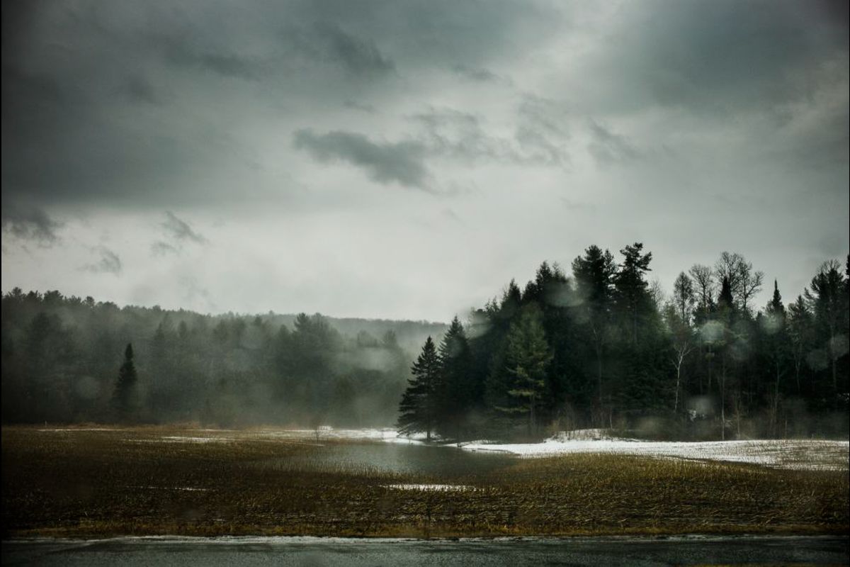 Stéphane Lavoué | The North East Kingdom