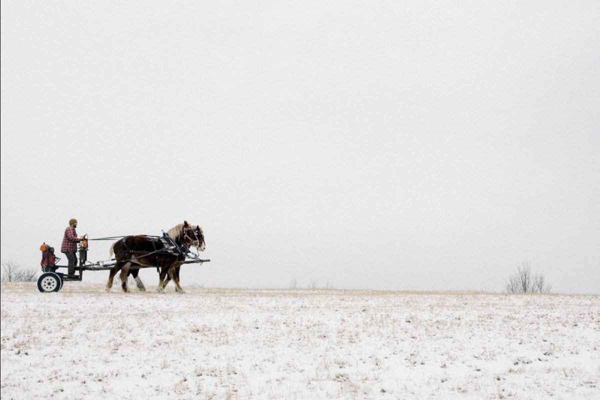 Stéphane Lavoué | The North East Kingdom