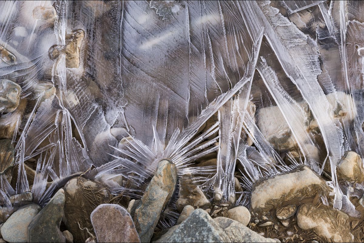 Des lames de glace qui figent à la tombée de la nuit sur le lit d’un petit ruisseau.