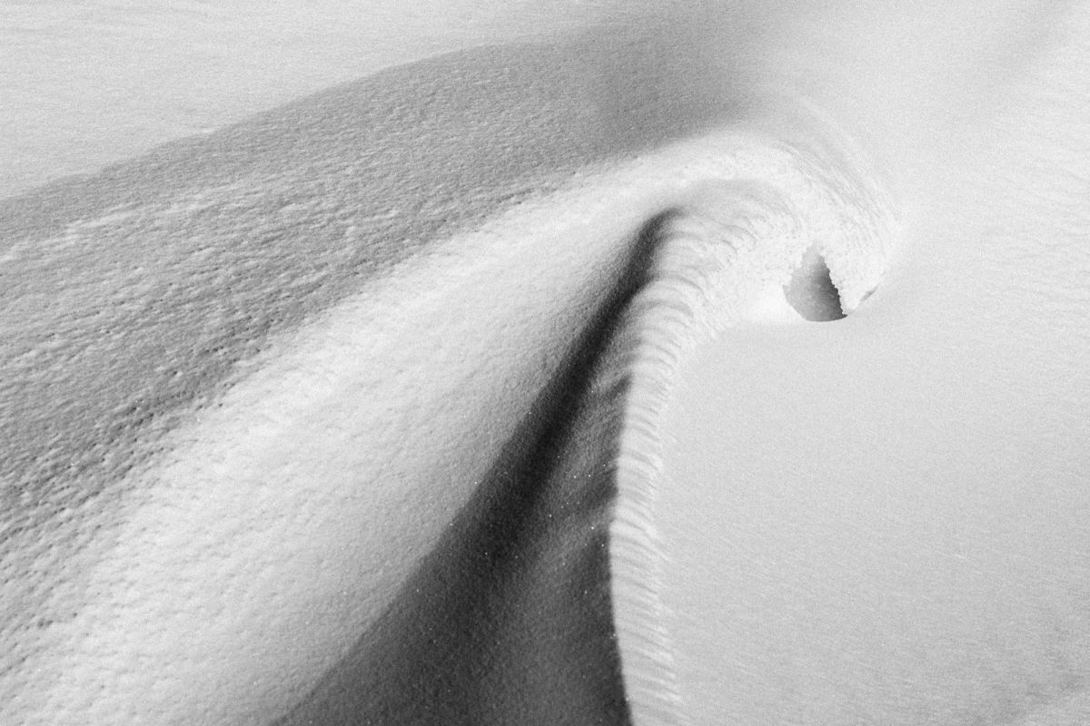 FRED MORTAGNE