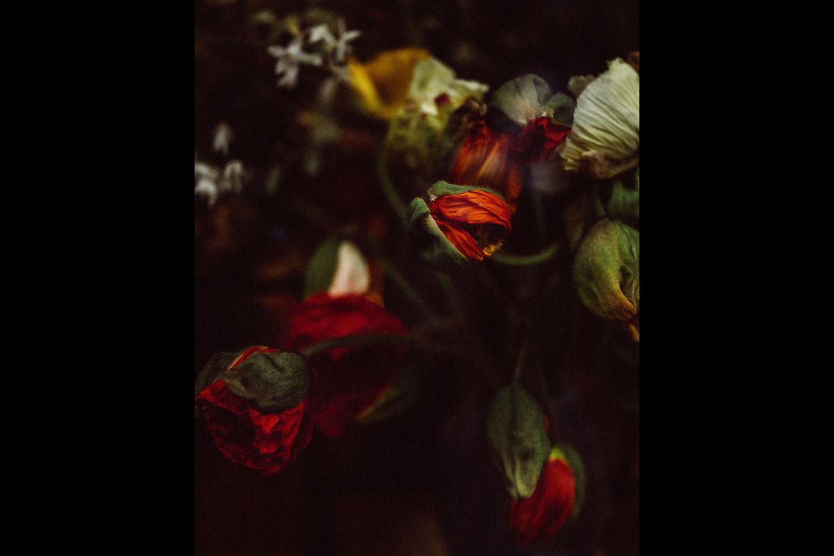 Benoit Linero